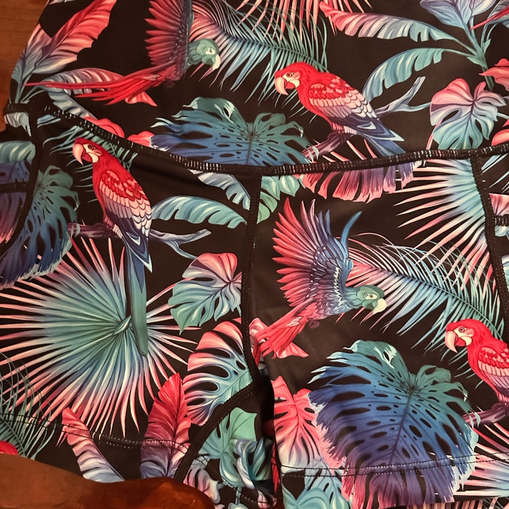 CVG Birds of Paradise